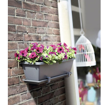 Grauer Blumenkasten mit lila Blumen an einer Ziegelwand