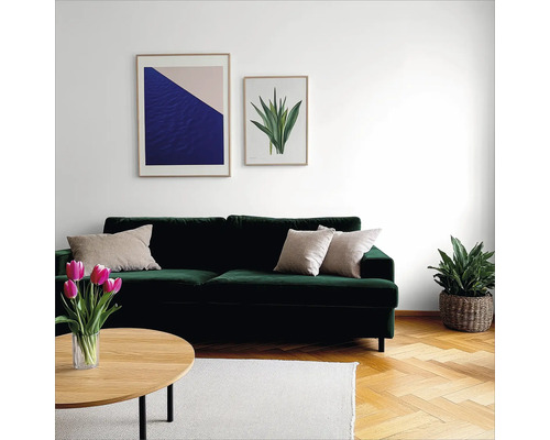 Wohnzimmer mit grünem Sofa, Couchtisch, Zimmerpflanze und Wandbildern