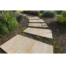 Scène de jardin avec des pas japonais rectangulaires en pierre formant un chemin à travers un jardin recouvert de paillis d'écorce