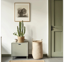 Eingangsbereich mit Kommode, Korb, Kaktus und Tür