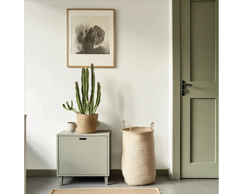 Eingangsbereich mit Kommode, Korb, Kaktus und Tür