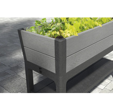 Jardinière surélevée en plastique avec plantes