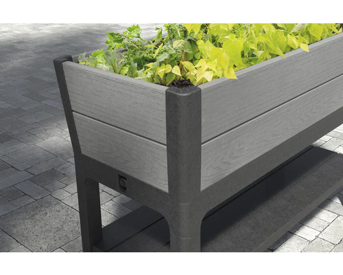 Jardinière surélevée en plastique avec plantes