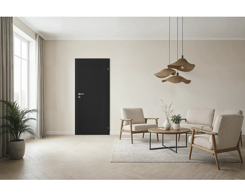 Salon avec porte intérieure noire, sièges et plante d'intérieur