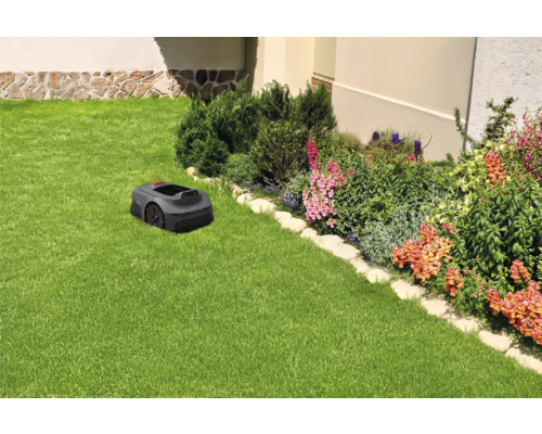 Tondeuse robot sur une pelouse à côté d'un parterre de fleurs
