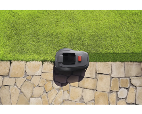 Robot tondeuse sur chemin de pierre à côté de la pelouse