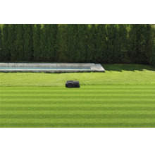 Robot de tonte sur une pelouse bien entretenue à côté d'une piscine et d'une haie