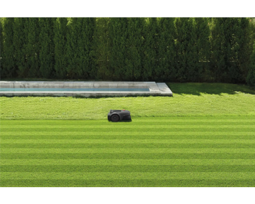 Robot de tonte sur une pelouse bien entretenue à côté d'une piscine et d'une haie