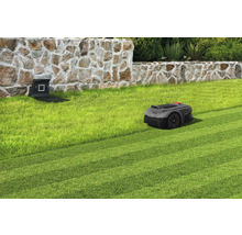 Robot de tonte avec station de charge dans le jardin