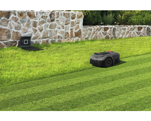 Robot de tonte avec station de charge dans le jardin