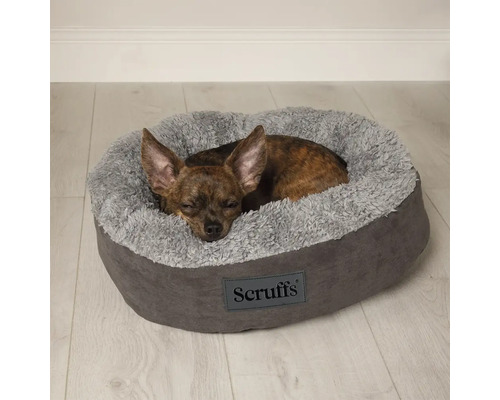 Hund schläft in einem runden, grauen Scruffs Hundebett