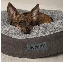 Hund liegt in einem grauen Hundebett mit Scruffs Logo