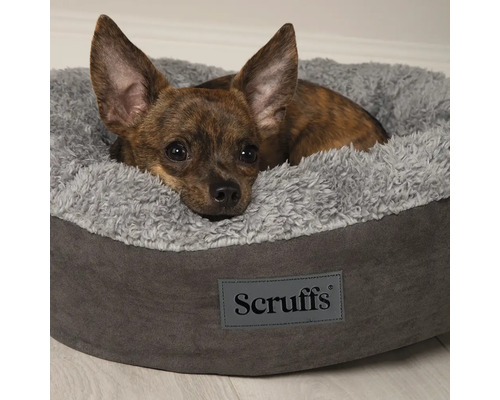 Hund liegt in einem grauen Hundebett mit Scruffs Logo