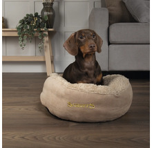 Teckel assis dans un lit pour chien de la marque Scruffs