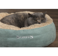 Graue Katze liegt in einem runden, bequemen Scruffs Katzenbett