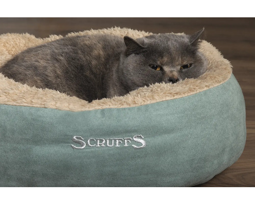 Graue Katze liegt in einem runden, bequemen Scruffs Katzenbett