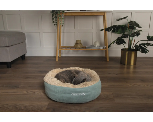 Katze schläft in einem runden Scruffs-Katzenbett aus Plüsch