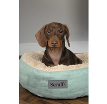 Dackel in einem Hundebett mit Scruffs Logo