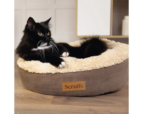 Schwarze Katze liegt in einem Scruffs Katzenbett