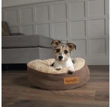 Hund liegt in einem braunen, runden Hundebett mit Scruffs Logo