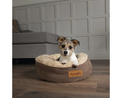 Hund liegt in einem braunen, runden Hundebett mit Scruffs Logo