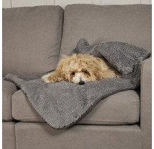 Hund liegt auf einem grauen Sofa unter einer grauen Kuscheldecke