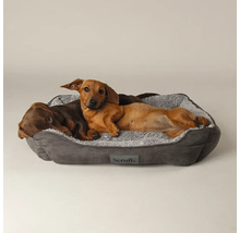 Deux teckels se reposent dans un lit pour chien gris avec un intérieur doux et moelleux.