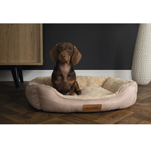 Un teckel est assis dans un panier pour chien Scruffs beige avec une doublure douce.