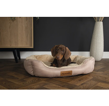 Teckel allongé dans un panier pour chien beige de la marque Scruffs