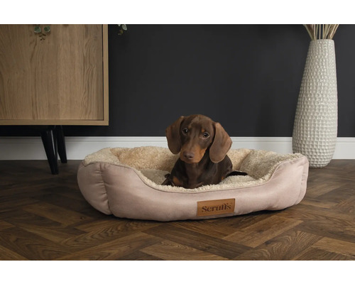 Teckel allongé dans un panier pour chien beige de la marque Scruffs