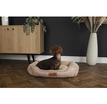 Teckel dans un panier pour chien Scruffs devant une commode et un vase