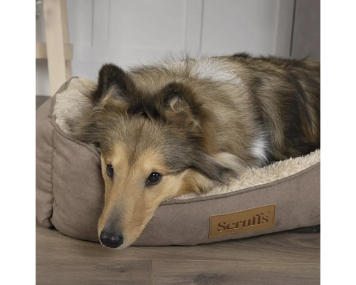 Hund liegt in einem Hundebett mit Scruffs Logo