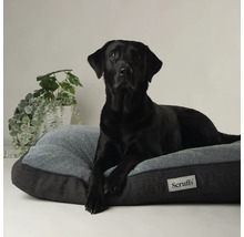 Ein schwarzer Labrador liegt auf einem grauen Hundebett mit dem Scruffs Logo.