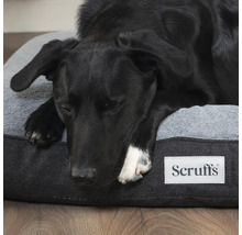 Schwarzer Hund schläft auf einem grauen Hundebett mit Scruffs Logo