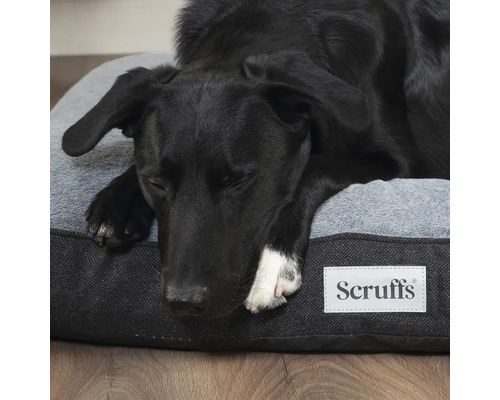 Schwarzer Hund schläft auf einem grauen Hundebett mit Scruffs Logo