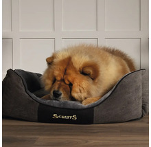 Chien dormant dans un panier Scruffs gris.