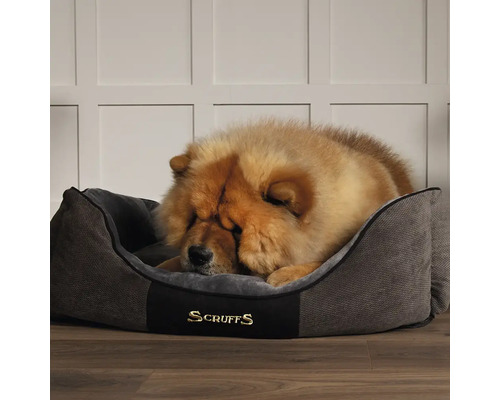 Chien dormant dans un panier Scruffs gris.