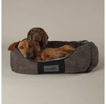 Deux teckels sont allongés dans un lit pour chien Scruffs gris.