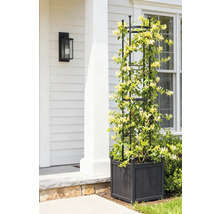Kletterhilfe mit Pflanzkasten und Kletterpflanze vor einem Haus.