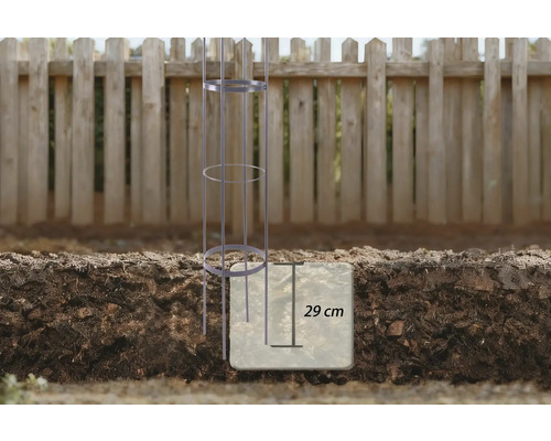 Tomatenstütze im Boden mit Tiefenangabe von 29 Zentimetern