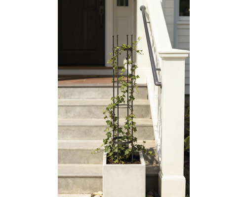 Pflanzkasten mit Rankhilfe und Efeu auf einer Treppe vor einem Haus.