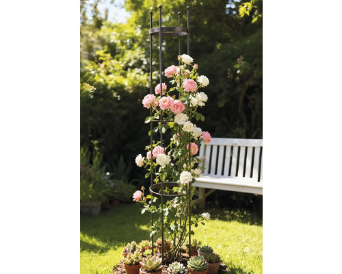 Kletterhilfe aus Metall mit Rosen und Sukkulenten im Garten