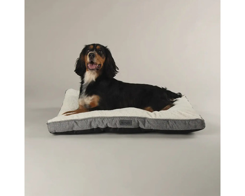 Hund liegt auf einem grauen Hundebett