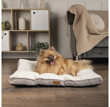 Hund liegt auf einem rechteckigen Hundebett mit Kunstfell