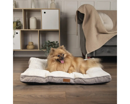 Hund liegt auf einem rechteckigen Hundebett mit Kunstfell