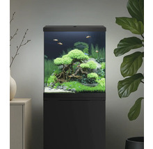 Aquarium aménagé avec des poissons et des plantes sur un meuble bas noir.