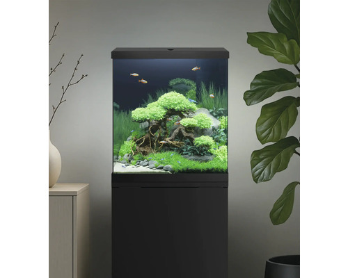 Aquarium aménagé avec des poissons et des plantes sur un meuble bas noir.