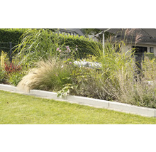 Jardin paysager avec pelouse et parterre de fleurs