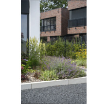 Jardin avec diverses plantes et arbustes devant un bâtiment moderne en brique
