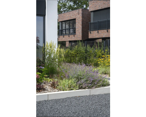 Jardin avec diverses plantes et arbustes devant un bâtiment moderne en brique